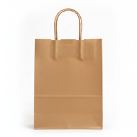 Close-up single kraft paper bag with twisted handle