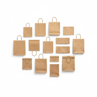 Kraft paper bags flat lay assorted